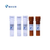 TSINGKE TSE201 2×TSINGKE® Master qPCR Mix (SYBR Green I)