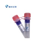 TSINGKE TSJ012-100 DL5000 DNA Marker