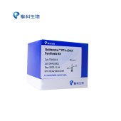 TSINGKE TSK301M Goldenstar™ RT6 cDNA Synthesis Kit