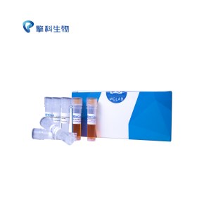 TSINGKE TP001 I-5™ 2×High-Fidelity Master Mix