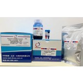 中科瑞泰 RTD6139-0416 Blue/Clear非变性PAGE电泳试剂盒(U型板4-16%预制胶，通用型)