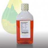 Moregate Blotech FBSF 澳大利亚/新西兰胎牛血清—除菌过滤型