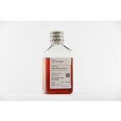 VivaCell C04002-500 胚胎干细胞专用胎牛血清