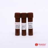 Solarbio Z8020 Zeocin Selection Reagent