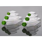 Sorfa 210100 25cm透气盖细胞培养瓶