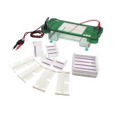 君意 JY-SPCT 水平电泳槽