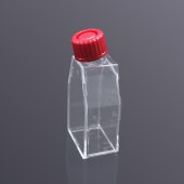LABSELECT 13111 25cm2密封盖细胞培养瓶