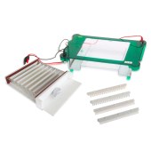 君意 JY-SPHT 水平电泳槽