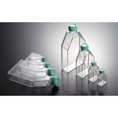 BIOFIL TCF011050 一次性细胞培养瓶，25cm2，50ml，表面处理，普通盖