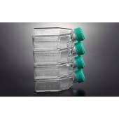 BIOFIL TCF011050 一次性细胞培养瓶，25cm2，50ml，表面处理，普通盖