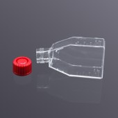 LABSELECT 13111 25cm2密封盖细胞培养瓶