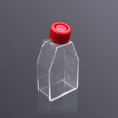 LABSELECT 13111 25cm2密封盖细胞培养瓶