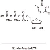 Tsingke R2060-001 假尿苷（N1-Me-Pseudo UTP,100 mM Solution）