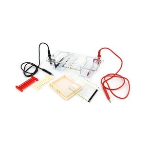 六一 DYCP-31CN 琼脂糖水平电泳仪（注）