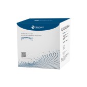 Biosharp BL1023B SuperRT III一步法qRT-PCR试剂盒-染料法