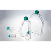 BIOFIL TCF011050 一次性细胞培养瓶，25cm2，50ml，表面处理，普通盖