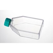 BIOFIL TCF011050 一次性细胞培养瓶，25cm2，50ml，表面处理，普通盖
