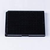 LABSELECT 11614 384孔黑框透明底细胞培养板