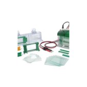 bio-rad 1658001 Mini-PROTEAN Tetra Cell 1.0mm（蛋白电泳槽）