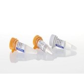 Promega M6101 RQ1 RNase-Free DNase