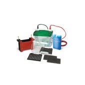 bio-rad 1703930 Mini Trans-Blot Electroph Transfer Cell（湿式转印槽）