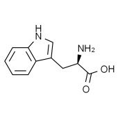Solarbio T9890 D-色氨酸