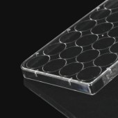LABSELECT 11312 24孔细胞培养板,纸塑包装