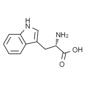 Solarbio T0011 L-色氨酸
