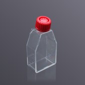 LABSELECT 13122 25cm2 细胞培养瓶(透气盖，未TC处理)