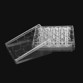 LABSELECT  11220 12孔细胞培养板(未TC处理)
