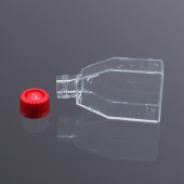 LABSELECT 13122 25cm2 细胞培养瓶(透气盖，未TC处理)