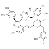 Solarbio SS8100 丹酚酸B 标准品