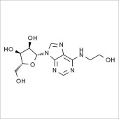 Solarbio SH9130 N6-(2-羟乙基)腺苷 标准品