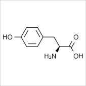 Solarbio ST8360 L-酪氨酸 标准品