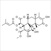 Solarbio SB8580 鸦胆子苦醇 标准品