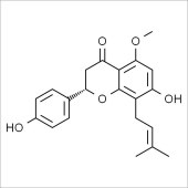 Solarbio SI8800 异黄腐醇 标准品