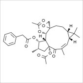 Solarbio SE8770 E千金子甾醇 标准品