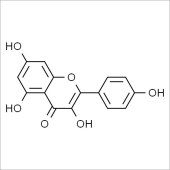 Solarbio SK8030 山奈酚 标准品