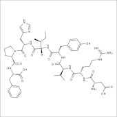 Solarbio SA5820 血管紧张素Ⅱ 标准品