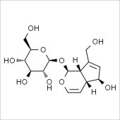 Solarbio SA9840 Aucubin 桃叶珊瑚苷 标准品
