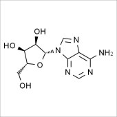 Solarbio SA8060 Adenosine 腺苷 标准品
