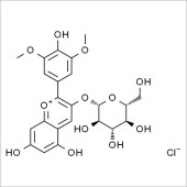 Solarbio SM8790 锦葵素-3-O-葡萄糖苷 标准品