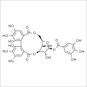 Solarbio SC9500 柯里拉京 标准品
