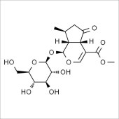 Solarbio SC8480 山茱萸苷 标准品