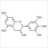 Solarbio SE8130 表没食子儿茶素 标准品