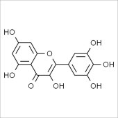 Solarbio SM8390 Myricetin 杨梅素 标准品