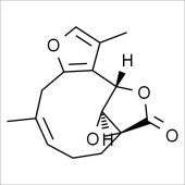 Solarbio SL8170 乌药醚内酯 标准品