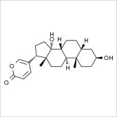 Solarbio SB8310 Bufalin 蟾毒灵 标准品