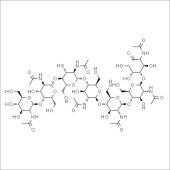 Solarbio SN9000 N,N',N'',N''',N'''',N''''',N''''''-七乙酰基壳七糖 标准品