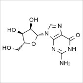 Solarbio SG9310 鸟苷 标准品